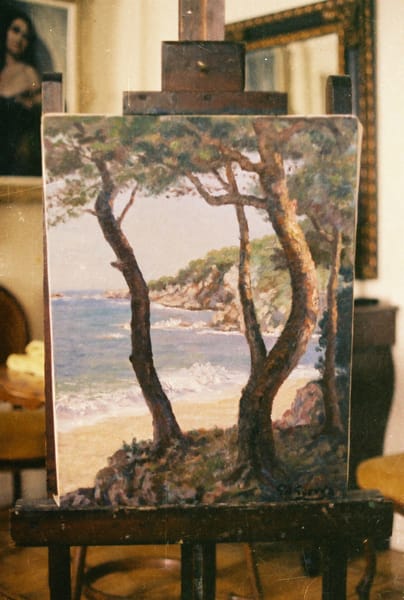 Paisaje costero con árboles