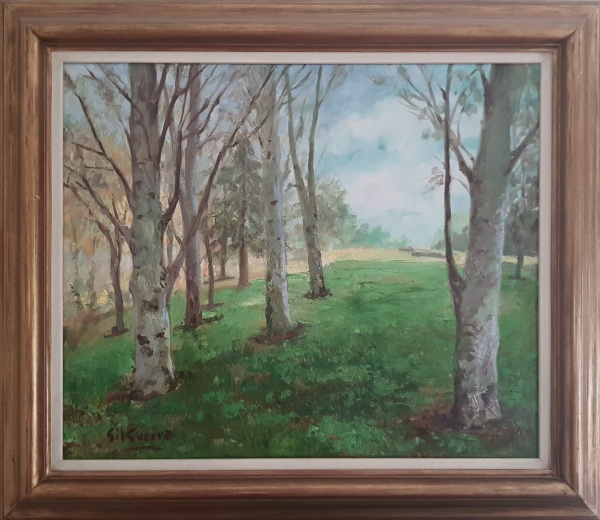 Birch Grove